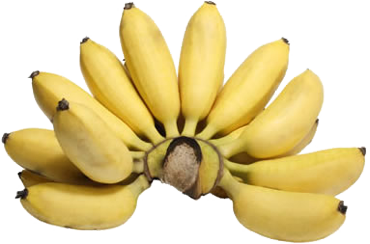 Maça b